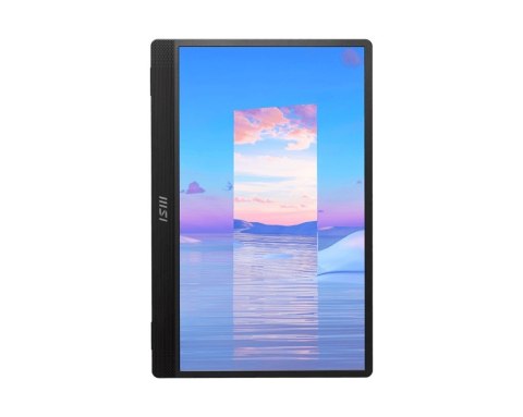 MSI Monitor PRO MP161 15,6 cala FHD/60Hz/2xUSB C